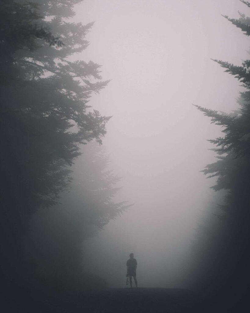 Through the shadow