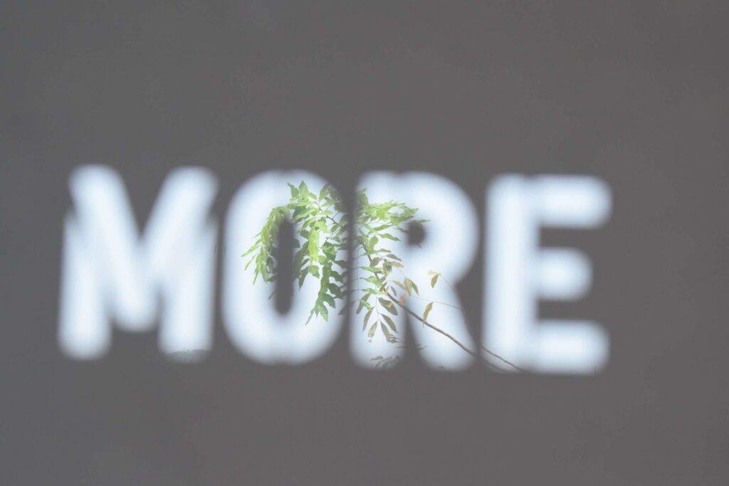 More than a Number